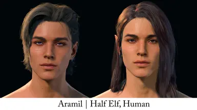 Update 1.5 Aramil body type 2