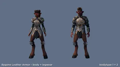 Bygone Leather Armor set