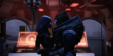 Ability to enable Garrus/Tali relationship