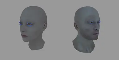 Custom Head Mesh Framework DLCs- MShep and FemShep