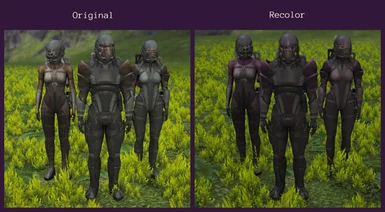 Human Gladiator Gear - Purple