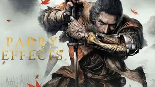 Sekiro Parry Effects