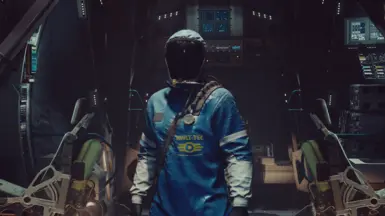 Vault-Tec Hazmat suit