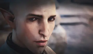 The Pride - new face texture for Solas