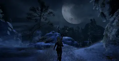 Mysterious Winter Hinterlands at night