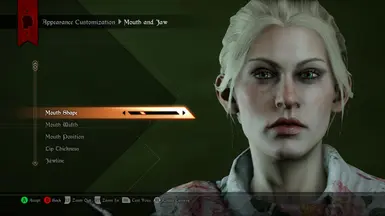 Inquisitor Face Textures