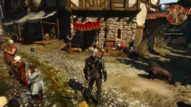 witcher3 2016 01 14 15 13 41 227