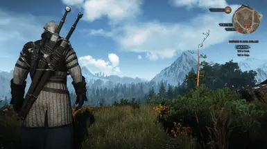 witcher3 2015 06 09 11 28 40