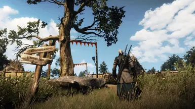 witcher3 2015 06 22 01 18 22