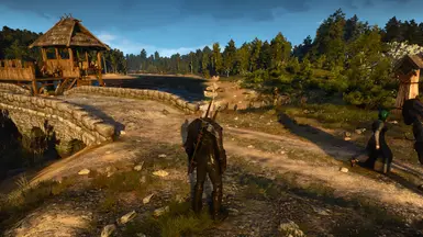 witcher3 2016 06 13 22 18 33