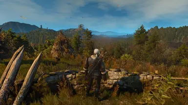 witcher3 2016 06 17 20 52 19