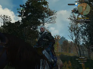 witcher3 2016 10 15 23 54 51 422