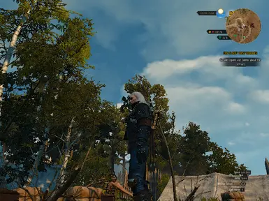 witcher3 2016 10 15 23 58 25 050