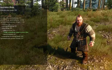 sbui animation mode pose selection actor cam