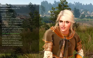 sbui mimics mode filtered2