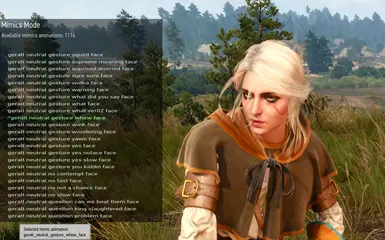 sbui mimics mode ciri2