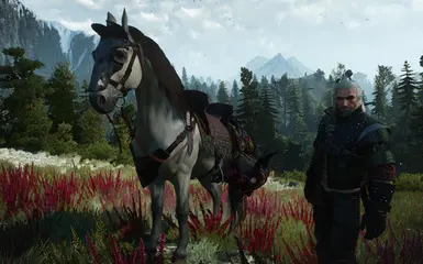 Better Horse Equipment