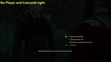 No Player and Cutscene Light