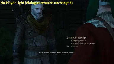 No Player Light during dialogues