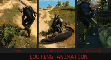 Looting