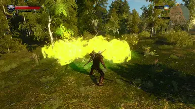 gravewarden's flames