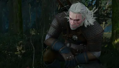 w2scene: encoded scene - geralt investigates corpse