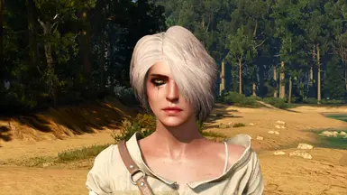 encoded hairworks: some ciri RANDOM hairworks test 