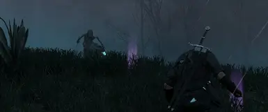 Wraith hunt through the fog