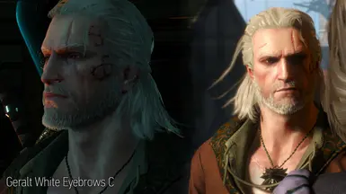 Geralt HairWorks Colors and Styles