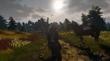 witcher3 2016 05 19 17 38 51 987