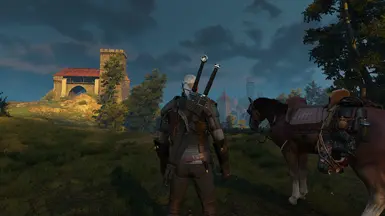 witcher3 2016 05 19 17 27 20 821