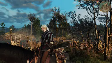 witcher3 2015 12 23 17 31 18