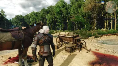 witcher3 2015 12 25 21 52 12