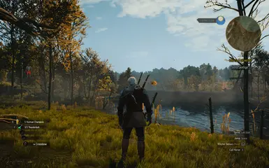 witcher3 2015 10 30 10 34 07 38