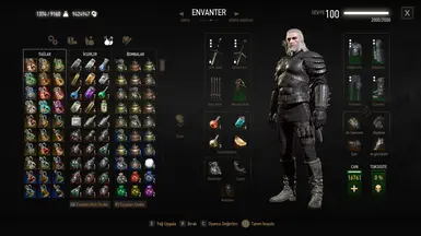 Enhanced Witcher Gear Overhaul