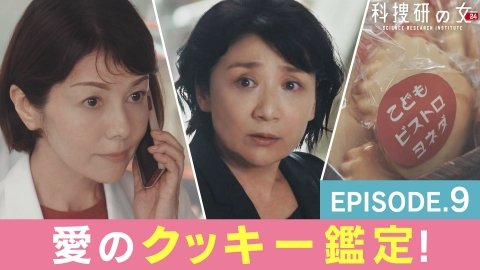 科捜研の女 season24