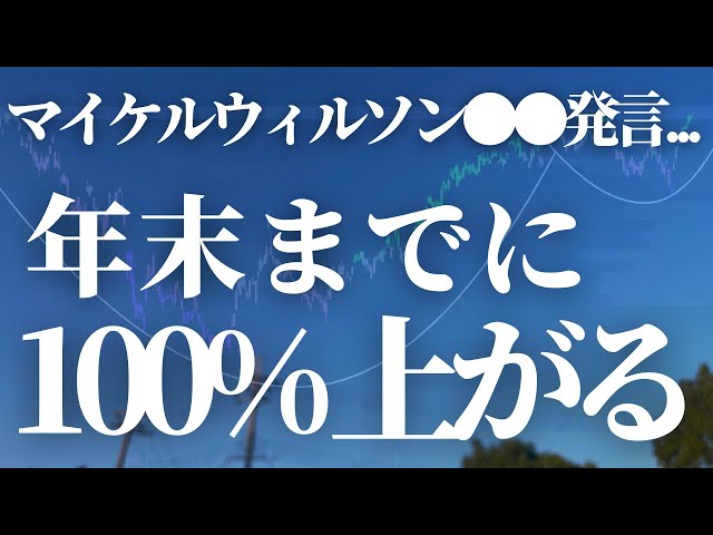 マイケルウィルソンまさかの●●発言！！年末までに100%上がる！！！ | 米国株,米国株投資