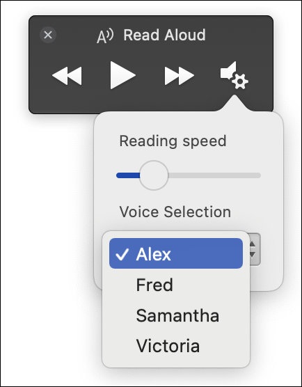 Four voice selection options displayed for Immersive Reader Read Aloud feature