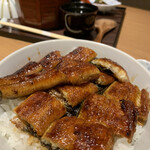 Unagi Ryori Sawasho - 