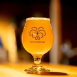 CYCAD BREWING - 自家醸造 NEIPA