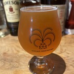 CYCAD BREWING - 