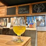 CYCAD BREWING - 