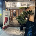 CYCAD BREWING - 