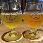 CYCAD BREWING - 