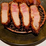 Kioicho Tonkatsu Yoshoku Hitomi - 