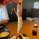 海食 うお貞 - 