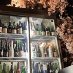 日本酒ダイニング 艶ノコク - 