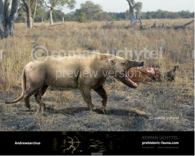 Andrewsarchus mongoliensis