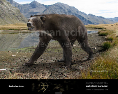 Short-faced bear (Arctodus simus)