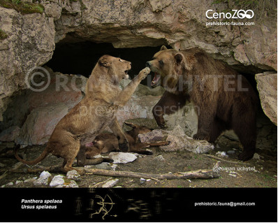 Cave bear and Сave lion